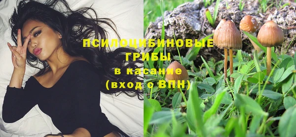 mix Бородино