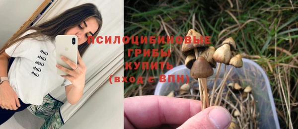 spice Бугульма