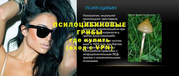 mix Бородино
